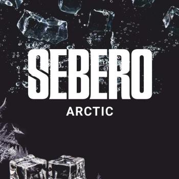 Табак для кальяна Sebero Arctic (20 г)