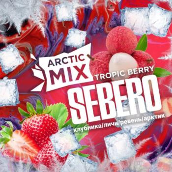 Табак для кальяна Sebero Arctic Mix Tropic Berry (30 г)