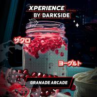 Табак для кальяна Dark Side XPERIENCE GRANADE ARCADE (30 г)