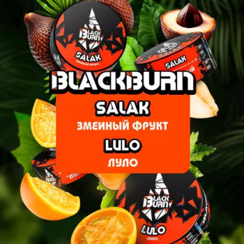 Табак для кальяна Black Burn Lulo (25 г)