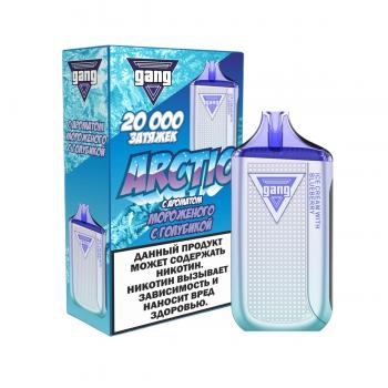 Одноразовый испаритель Gang ARCTIC Мороженое с Голубикой