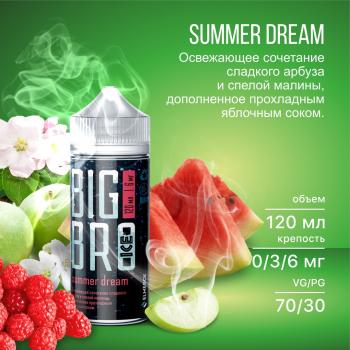Жидкость Big Bro Ice Summer Dream (6 мг/120 мл)