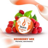 Табак для кальяна Burn Redberry Mix (25 г)