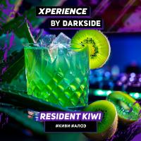 Табак для кальяна Dark Side XPERIENCE RESIDENT KIWI (30 г)