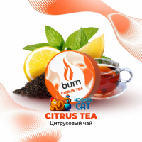 Табак для кальяна Burn Citrus Tea (25 г)