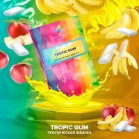 Табак для кальяна Spectrum Mix Line Tropic Gum (40 г)